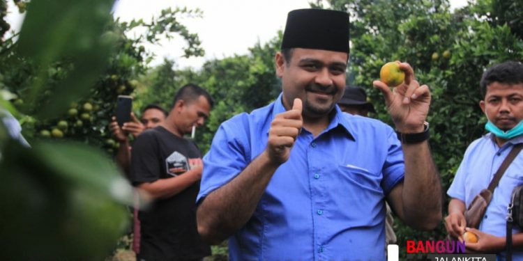 Hasim Siap Perkenalkan Jeruk Simalungun hingga ke Luar Negeri
