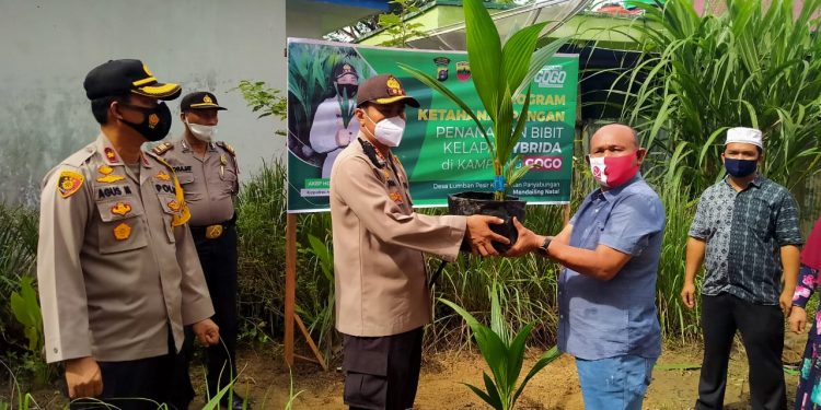 Kapolres Madina Tanam Pohon Kelapa Hybrida dan Tabur Ikan di Kampung Tangguh Kapolres Madina Tanam Pohon Kelapa Hybrida dan Tabur Ikan di Kampung Tangguh