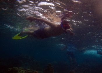 Snorkeling di Tureloto, Sihar Terpesona Disapa Ikan Nemo. Djoss di Darat dan Laut...