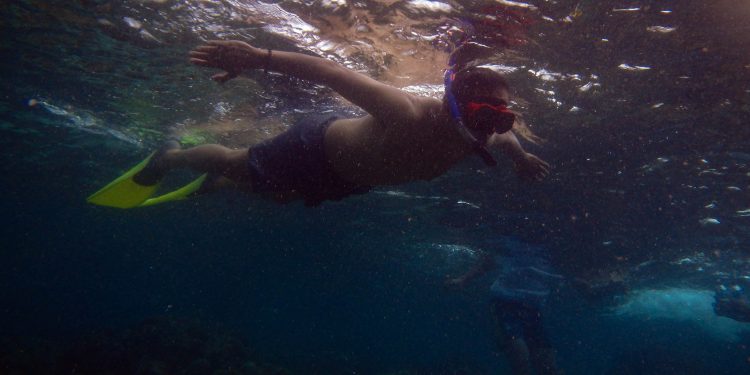 Snorkeling di Tureloto, Sihar Terpesona Disapa Ikan Nemo. Djoss di Darat dan Laut... Snorkeling di Tureloto, Sihar Terpesona Disapa Ikan Nemo. Djoss di Darat dan Laut...