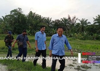 TPS Susuri Persawahan untuk Temui Warga