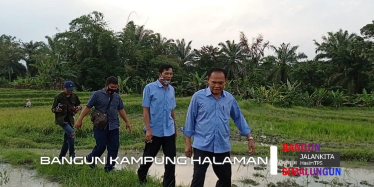 TPS Susuri Persawahan untuk Temui Warga