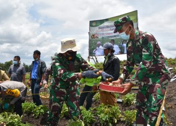 Kodam I Bukit Barisan Siap Mendukung Program Food Estate di Humbahas