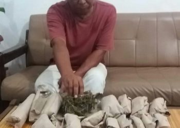 Barbut 800 Gram Ganja, Warga Gang Air Bersih Diringkus di Simpang Kerang
