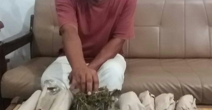 Barbut 800 Gram Ganja, Warga Gang Air Bersih Diringkus di Simpang Kerang