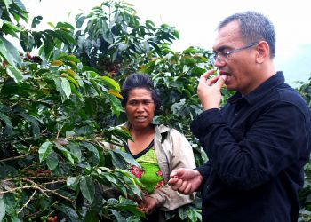 Ternyata Setelah Dikupas Kopi Itu Bijinya Dua