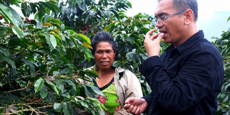 Ternyata Setelah Dikupas Kopi Itu Bijinya Dua