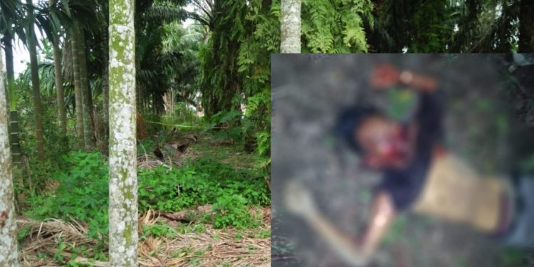 Remaja asal Binjai Ditemukan Tewas Bersimbah Darah di Sunggal