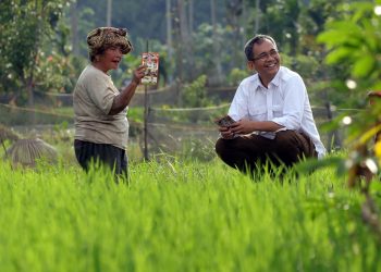 Menelusuri Pematang Sawah di Tapsel, Sihar Berbincang-bincang dengan Petani Lanjut Usia