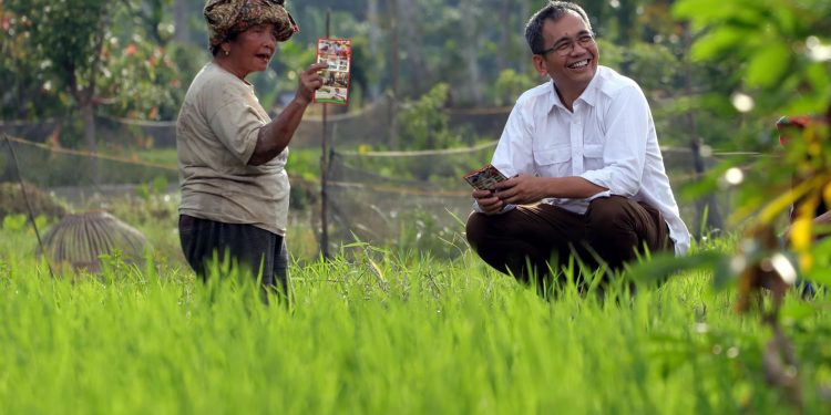 Menelusuri Pematang Sawah di Tapsel, Sihar Berbincang-bincang dengan Petani Lanjut Usia Menelusuri Pematang Sawah di Tapsel, Sihar Berbincang-bincang dengan Petani Lanjut Usia