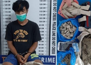 Roi Sihaloho Diciduk dari Kampung Kristen, Barang Bukti Setengah Kilo Ganja