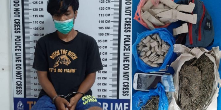 Roi Sihaloho Diciduk dari Kampung Kristen, Barang Bukti Setengah Kilo Ganja
