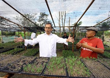 Kembalikan Masa Keemasan Kopi Sidikalang, Sihar: Pemerintah Harus Aktif Mikro Research