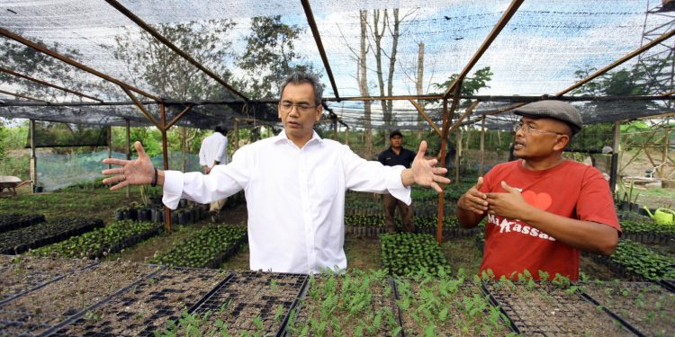 Kembalikan Masa Keemasan Kopi Sidikalang, Sihar: Pemerintah Harus Aktif Mikro Research Kembalikan Masa Keemasan Kopi Sidikalang, Sihar: Pemerintah Harus Aktif Mikro Research