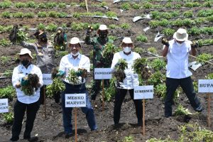 Kodam I Bukit Barisan Siap Mendukung Program Food Estate di Humbahas