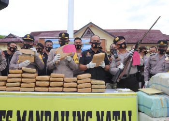 Setengah Ton Daun Ganja dan Senjata Api Diamankan Polres Madina dari Jalan Lintas Sumatera