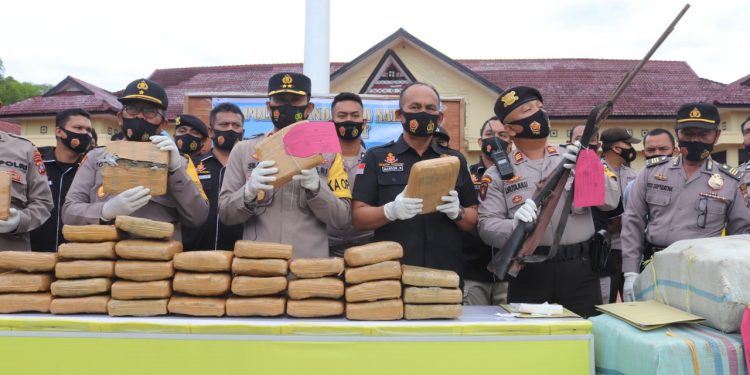 Setengah Ton Daun Ganja dan Senjata Api Diamankan Polres Madina dari Jalan Lintas Sumatera Setengah Ton Daun Ganja dan Senjata Api Diamankan Polres Madina dari Jalan Lintas Sumatera