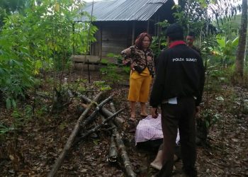 Pikat Burung Tak Pulang-pulang, Warga Sibolga Ditemukan Jadi Mayat