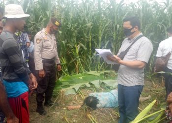 Tragis, Sehari Tak Pulang Ternyata Nuriah Pardede Ditemukan Tewas di Ladang Jagung
