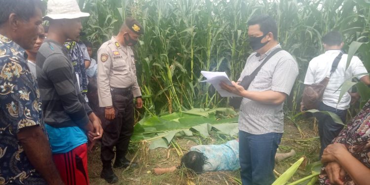 Tragis, Sehari Tak Pulang Ternyata Nuriah Pardede Ditemukan Tewas di Ladang Jagung