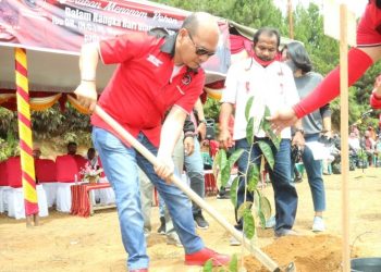 HUT ke-48 PDI-P, Bupati Taput Tanam 2500 Pohon di Area Salib Kasih
