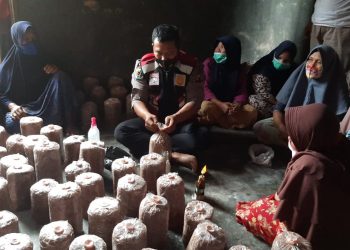 Bripka Timbul Bimbing Warga Budidayakan Jamur Tiram
