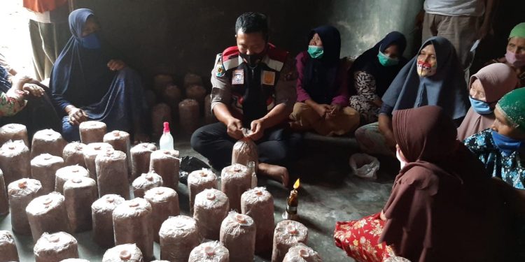 Bripka Timbul Bimbing Warga Budidayakan Jamur Tiram