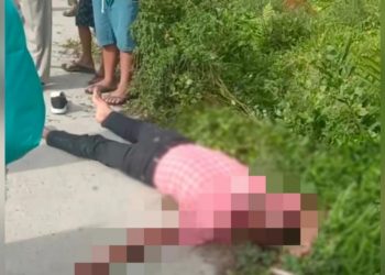 Tabrak Tiang Listrik Naik Sepedamotor, Sahat Nainggolan Meregang Nyawa