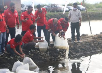 Bupati Taput Tabur Benih Ikan di Kolam Pemuda Batak Bersatu dan Resmikan Food Court Siborongborong