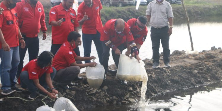 Bupati Taput Tabur Benih Ikan di Kolam Pemuda Batak Bersatu dan Resmikan Food Court Siborongborong