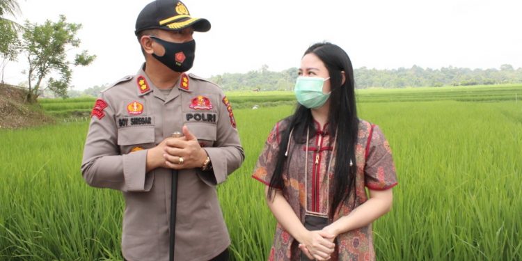 Tingkatkan Kedisiplinan Masyarakat, AKBP Boy Sutan Binanga Siregar Kunjungi Kampung Paten Sianjur Nauli