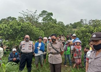 Bongot Sinurat Ditemukan Tewas Tergantung di Kebun Jeruk