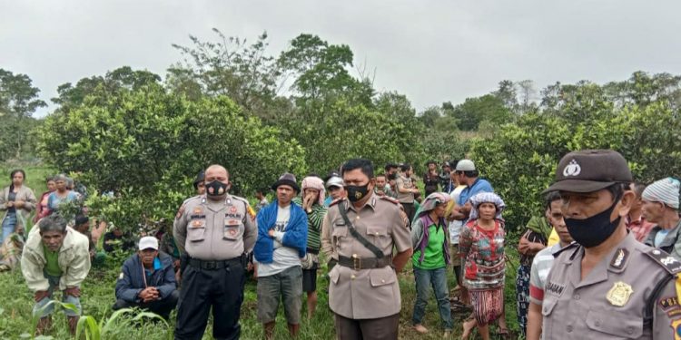 Bongot Sinurat Ditemukan Tewas Tergantung di Kebun Jeruk