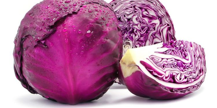 Wow, Kol Ungu Masuk Dalam Daftar Sayur Paling Menyehatkan