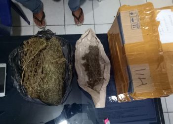 Ganja dalam Kardus Dipaketkan dari Medan ke Sidikalang via Bus Datra, Seorang Mahasiswa Diciduk