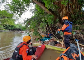 Cari Bonsai di Pinggir Sungai, Sudarmaji Terpeleset dan Hanyut