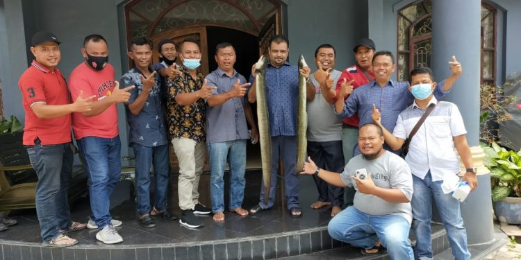 Komunitas Pancing Partai Gelora Berikan 2 Ekor Ikan Raja ke Bang Hasim, Yakin Hasim-TPS Mampu Bangun Simalungun Komunitas Pancing Partai Gelora Berikan 2 Ekor Ikan Raja ke Bang Hasim, Yakin Hasim-TPS Mampu Bangun Simalungun