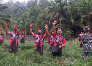 Danyonif 8 Marinir Bersama Prajurit Panen Cabe di Kebun Ketahanan Pangan Batalyon Infanteri 8 Mar