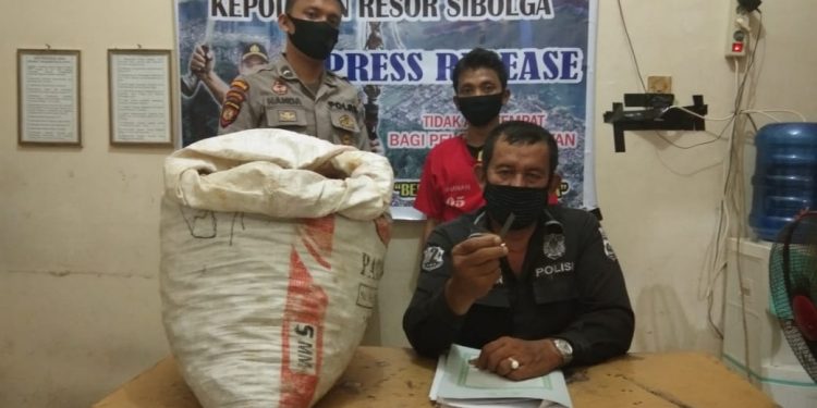 Fendi  Siregar Tangkap Pencuri 30 Kg Kunyit Milik Orangtuanya di Pasar Swadaya Sibolga