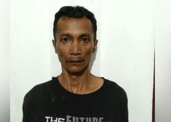 Simpan 0,45 Gram Sabu, Roni Dijemput Polisi dari Panombean Panei