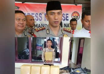Polres Madina Ungkap Peredaran 23,6 Kg Narkoba, Pelaku asal Sumatera Barat Diringkus
