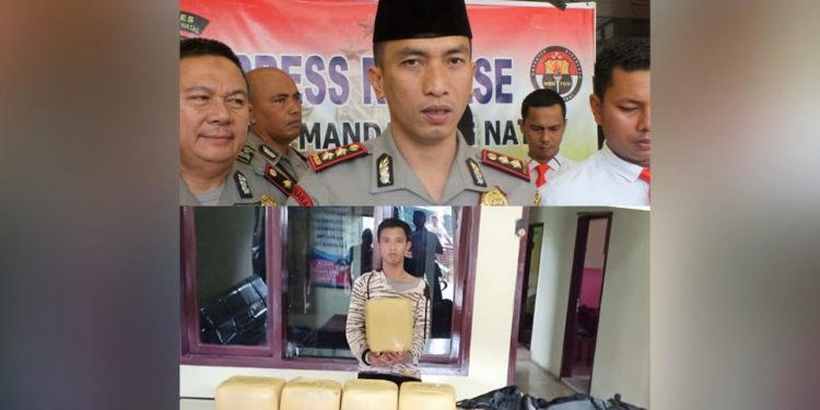 Polres Madina Ungkap Peredaran 23,6 Kg Narkoba, Pelaku asal Sumatera Barat Diringkus