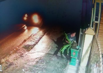 Tengah Malam, Gelombang Cinta milik Rosenta Pardede Dicuri, Pelaku Terekam CCTV