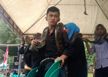 Ada Ular di Lapangan Merdeka, Warga Histeris Sambil Foto-Foto 