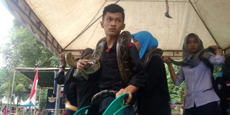 Ada Ular di Lapangan Merdeka, Warga Histeris Sambil Foto-Foto 