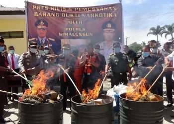 Ratusan Kilogram Ganja Dibakar Di Halaman Kantor Polisi