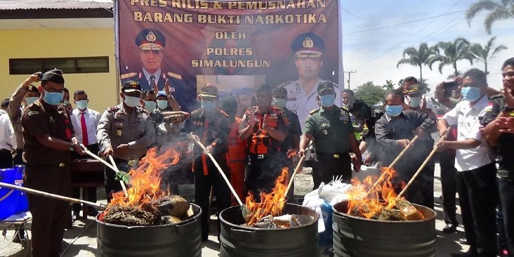Ratusan Kilogram Ganja Dibakar Di Halaman Kantor Polisi Ratusan Kilogram Ganja Dibakar Di Halaman Kantor Polisi