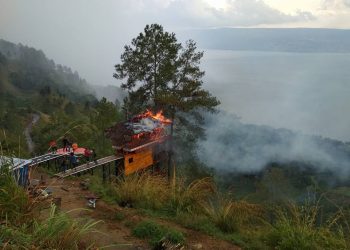 Heboh! Rumah Pohon Terbakar di Simarjarunjung, Danau Toba