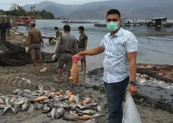 Polres Samosir Selidiki Kasus Matinya Ratusan Ribu Ekor Ikan di Danau Toba
