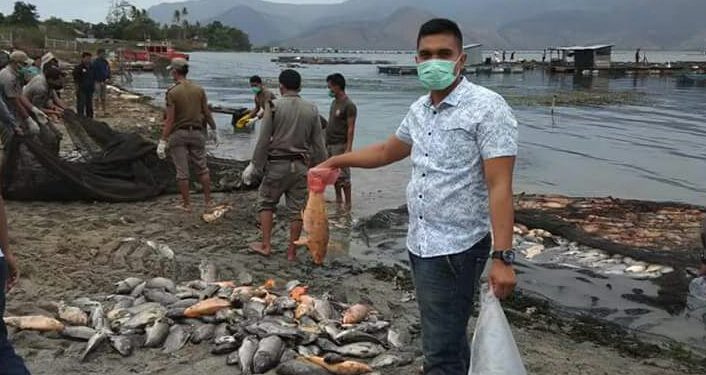 Polres Samosir Selidiki Kasus Matinya Ratusan Ribu Ekor Ikan di Danau Toba
